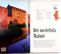 G&Aring; TILL HISTORIEN &ndash; Tretton vandringar f&ouml;r dig som vill uppt&auml;cka Malm&ouml; 