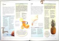 VITAMINER & MINERALER &ndash; En illustrerad guide