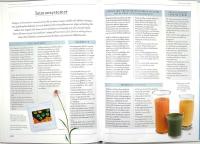 VITAMINER & MINERALER &ndash; En illustrerad guide