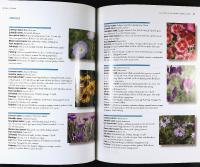 NATURAL GARDENS &ndash; Landscaping with Designs Inspired by Nature