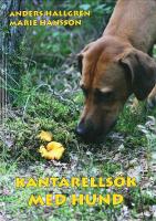 KANTARELLS&Ouml;K MED HUND
