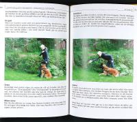 KANTARELLS&Ouml;K MED HUND