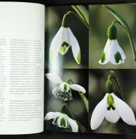 PLANT PERSONALITIES &ndash; Choosing and growing plants by character