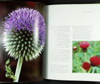 PLANT PERSONALITIES &ndash; Choosing and growing plants by character