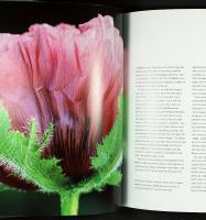 PLANT PERSONALITIES &ndash; Choosing and growing plants by character