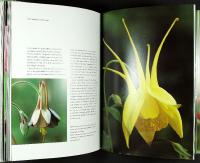 PLANT PERSONALITIES &ndash; Choosing and growing plants by character