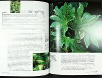 BLADVERK &ndash; Lugn bakgrund eller dramatisk effekt i tr&auml;dg&aring;rden