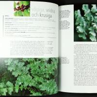 BLADVERK &ndash; Lugn bakgrund eller dramatisk effekt i tr&auml;dg&aring;rden