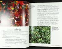 BLADVERK &ndash; Lugn bakgrund eller dramatisk effekt i tr&auml;dg&aring;rden