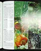 NEW GARDEN BOOK &ndash; Better Homes and Gardens