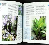 ARCHITECTURAL PLANTS &ndash; What to Grow and How to Grow It