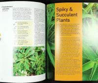 ARCHITECTURAL PLANTS &ndash; What to Grow and How to Grow It