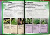 STORA TR&Auml;DG&Aring;RDSBOKEN &ndash; Inspirerande projekt &ndash; Tr&auml;dg&aring;rdsdesign, Sm&aring; tr&auml;dg&aring;rdar, Tr&auml;dg&aring;rdsdammar & uteplatser