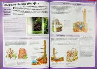 STORA TR&Auml;DG&Aring;RDSBOKEN &ndash; Inspirerande projekt &ndash; Tr&auml;dg&aring;rdsdesign, Sm&aring; tr&auml;dg&aring;rdar, Tr&auml;dg&aring;rdsdammar & uteplatser