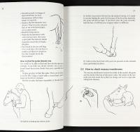 HORSE HEALTHCARE &ndash; A manual for animal health workers and owners