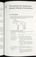 HORSE HEALTHCARE &ndash; A manual for animal health workers and owners
