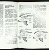 HUNDUPPF&Ouml;DARENS HANDBOK