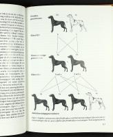 HUNDUPPF&Ouml;DARENS HANDBOK