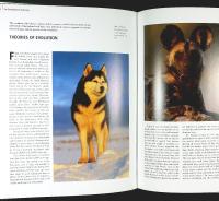 Encyclopedia of the DOG