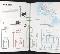 MIN EUROPEISKA FAMILJ &ndash; De senaste 54 000 &aring;ren