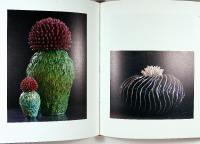 PER HAMMARSTR&Ouml;M &ndash;&nbsp;Keramiker och skulpt&ouml;r