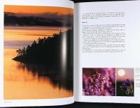 KUNGSBACKA &ndash; En bok om naturen