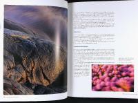 KUNGSBACKA &ndash; En bok om naturen