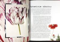 Tricia Guild &ndash; M&Ouml;NSTER