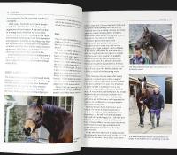 THE HORSE GROOMING MANUAL