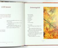 LCHF-KOKBOK till fest och helg &ndash; Doktor Dahlqvist & Airam