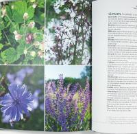 PARADISET &ndash; Underbart, enkelt och lite lagom slarvigt i tr&auml;dg&aring;rden