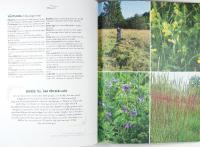 PARADISET &ndash; Underbart, enkelt och lite lagom slarvigt i tr&auml;dg&aring;rden