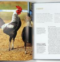 H&Ouml;NS &ndash; raser, sk&ouml;tsel, uppf&ouml;dning