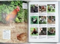 H&Ouml;NS &ndash; raser, sk&ouml;tsel, uppf&ouml;dning