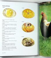 H&Ouml;NS &ndash; raser, sk&ouml;tsel, uppf&ouml;dning