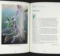 Emma Lundbergs TR&Auml;DG&Aring;RDSKONST