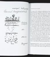 JORD &ndash; Fakta, personliga tankar och praktiska tips f&ouml;r hemmaodlare i stan och p&aring; landet