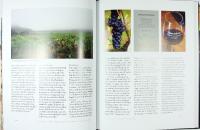 LANGUEDOC &ndash; M&ouml;ten med viner och vinodlare i franska s&ouml;dern