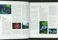 PERENNER &ndash; De 125 b&auml;sta sorterna fr&aring;n A&ndash;&Ouml; &ndash;&ndash; L&auml;ttodlade &bull; Doftande &bull; R&aring;djurss&auml;kra &bull; Klassiker och nyheter