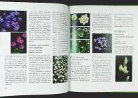 PERENNER &ndash; De 125 b&auml;sta sorterna fr&aring;n A&ndash;&Ouml; &ndash;&ndash; L&auml;ttodlade &bull; Doftande &bull; R&aring;djurss&auml;kra &bull; Klassiker och nyheter