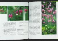 PERENNER &ndash; De 125 b&auml;sta sorterna fr&aring;n A&ndash;&Ouml; &ndash;&ndash; L&auml;ttodlade &bull; Doftande &bull; R&aring;djurss&auml;kra &bull; Klassiker och nyheter