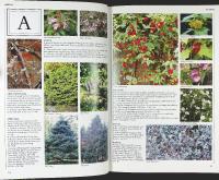 Encyclopedia of GARDEN PLANTS and FLOWERS
