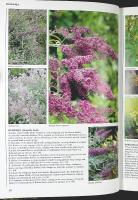 Encyclopedia of GARDEN PLANTS and FLOWERS