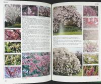 Encyclopedia of GARDEN PLANTS and FLOWERS
