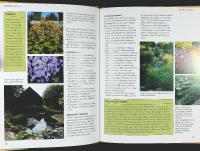 PERENNER I TR&Auml;DG&Aring;RDEN &ndash; V&auml;xtval &bull; Komposition &bull; Praktiska tips