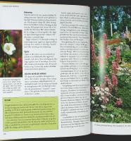 PERENNER I TR&Auml;DG&Aring;RDEN &ndash; V&auml;xtval &bull; Komposition &bull; Praktiska tips