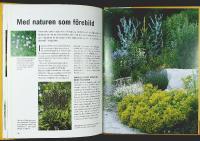 PERENNER I TR&Auml;DG&Aring;RDEN &ndash; V&auml;xtval &bull; Komposition &bull; Praktiska tips