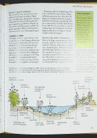 PERENNER I TR&Auml;DG&Aring;RDEN &ndash; V&auml;xtval &bull; Komposition &bull; Praktiska tips