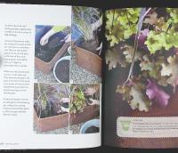 The WINTER GARDEN &ndash; Over 35 Step-by-Step Projects for Small Spaces Using Foliage and Flowers, Berries and Blooms, and Herbs and Produce