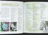 The WINTER GARDEN &ndash; Over 35 Step-by-Step Projects for Small Spaces Using Foliage and Flowers, Berries and Blooms, and Herbs and Produce